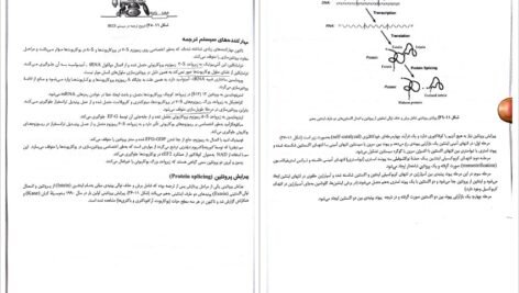 دانلود پی دی اف کتاب ژنتیک از کلاسیک تا ژنومیک دکتر اکرمی PDF