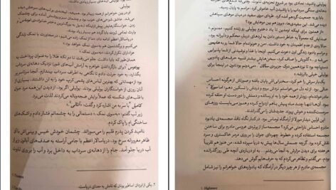 دانلود پی دی اف کتاب سرای نمک و اندوه ارین ای.کریج PDF
